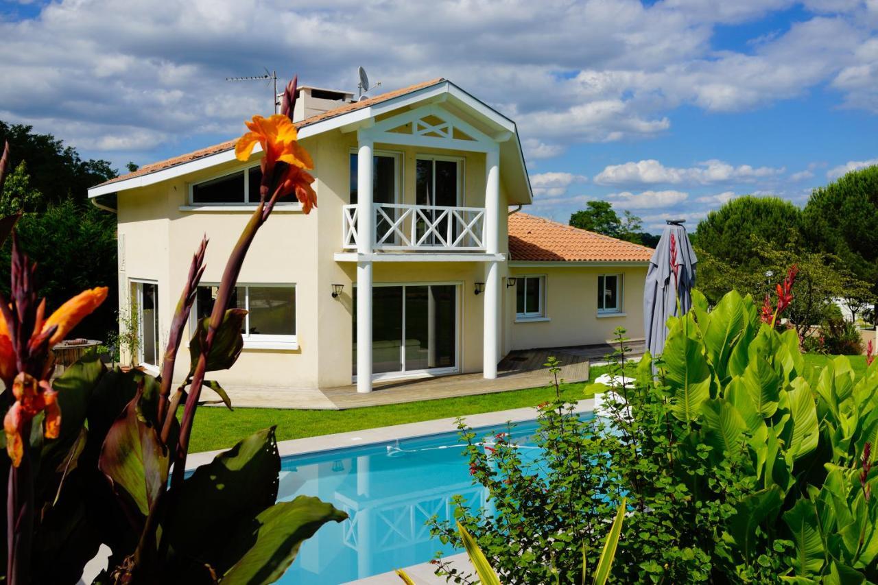 Villa Alba. Piscine grand jardin Hauts de Bordeaux Carignan-de-Bordeaux Buitenkant foto